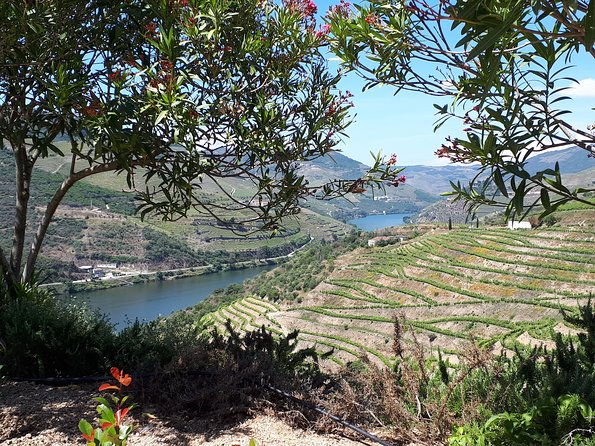 douro-valley-tour-wine-food-2