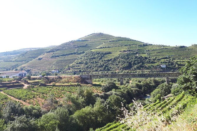 douro-valley-tour-wine-food