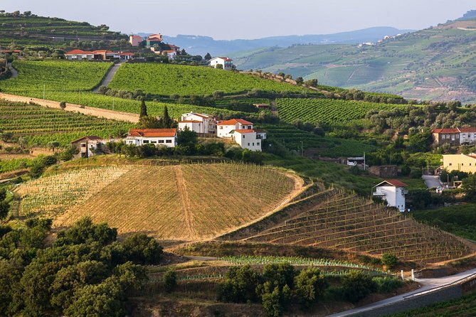 douro-valley-tour-wine-tasting-cruise-and-lunch-from-porto