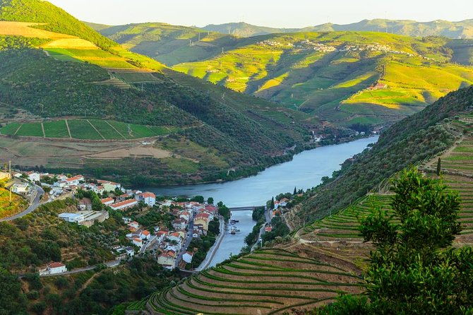douro-valley-tour-wine-tasting-cruise-and-lunch-from-porto
