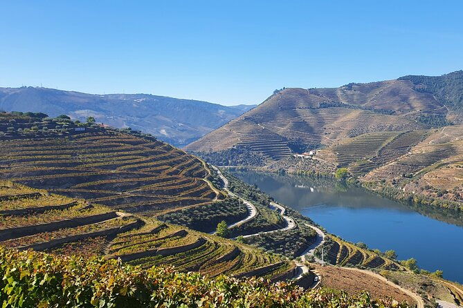 douro-valley-tour-wine-tasting-river-cruise-and-lunch-from-porto