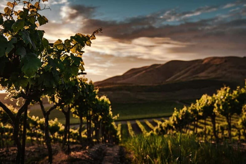 Douro Valley Tour with Lunch, Visit to a Vineyard, Boat Trip - Exploring the Douro Valley: What Makes It Special?