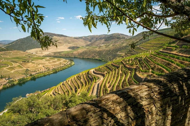 Douro Valley Tour with Lunch, Visit to a Vineyard, Boat Trip - Breakdown of the Itinerary