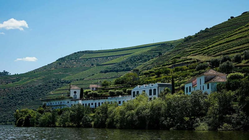Douro Valley Tour with Lunch, Visit to a Vineyard, Boat Trip - Who Should Consider This Tour?