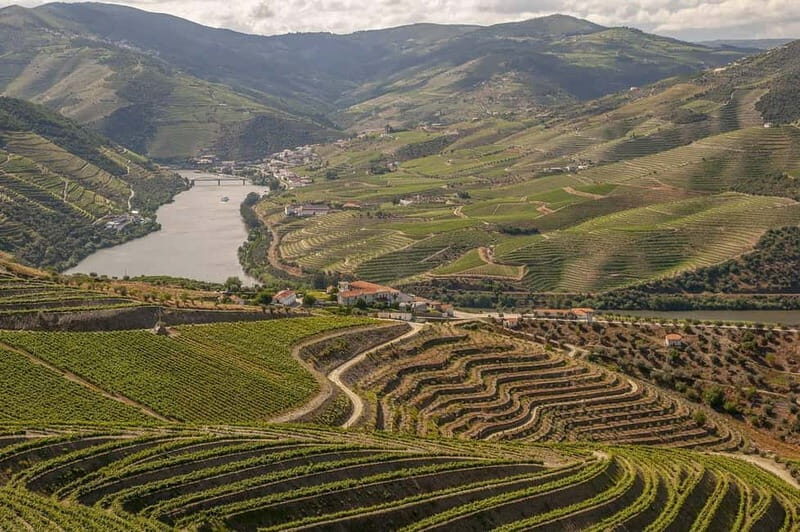 Douro Valley Tour with Lunch, Visit to a Vineyard, Boat Trip - Final Thoughts