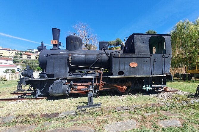 douro-valley-tour-with-train-and-vinho-verde