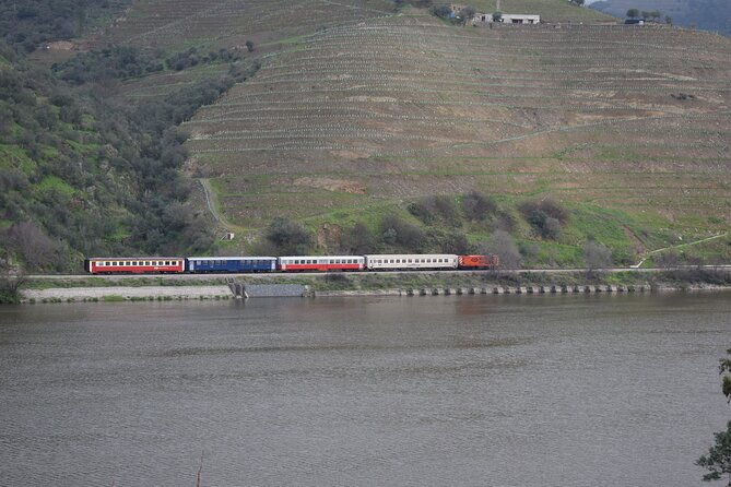douro-valley-tour-with-train-and-vinho-verde
