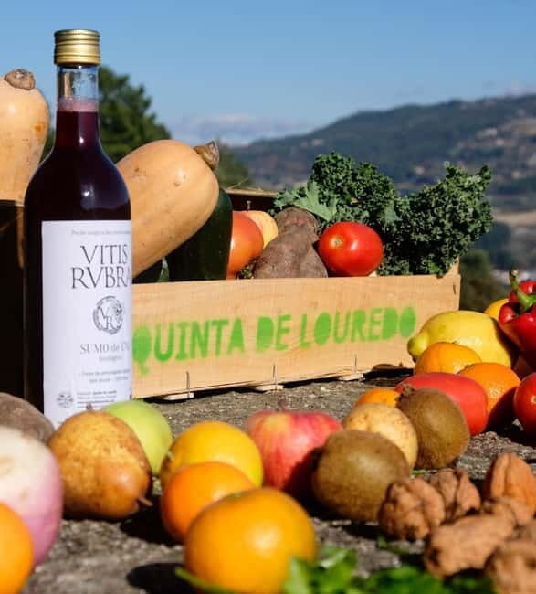 Douro Valley: Traditional Cooking Class, Farm Tour & Lunch - A Deeper Look at What to Expect