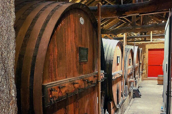 douro-valley-unesco-heritage-fantastic-lunch-wine-tasting-2