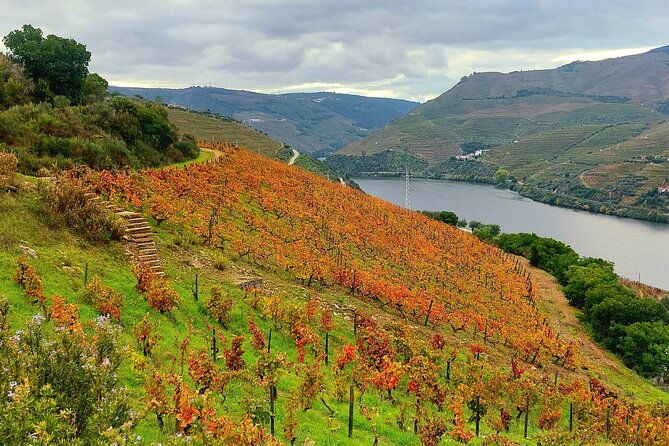 douro-valley-unesco-heritage-fantastic-lunch-wine-tasting