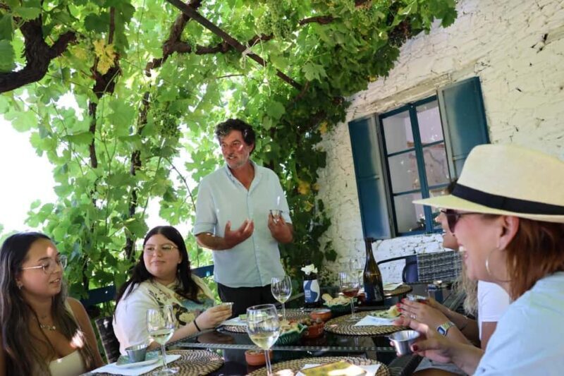 Douro Valley: Visit 2 Wineries with lunch, and 1-Hour Cruise - Key Points