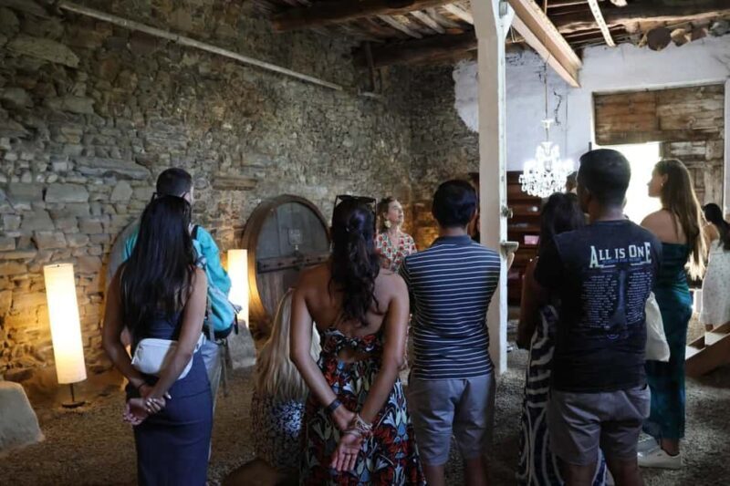 Douro Valley: Visit 2 Wineries with lunch, and 1-Hour Cruise - Final Thoughts
