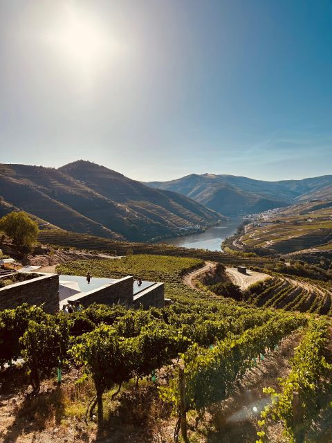 douro-valley-w-lunch-in-a-family-owned-winery-boat-tour