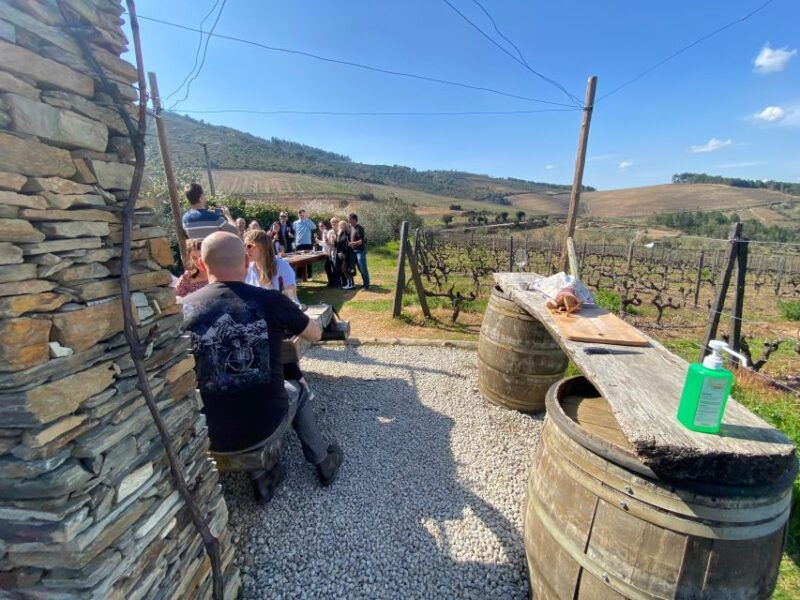 douro-valley-w-lunch-in-a-family-owned-winery-boat-tour