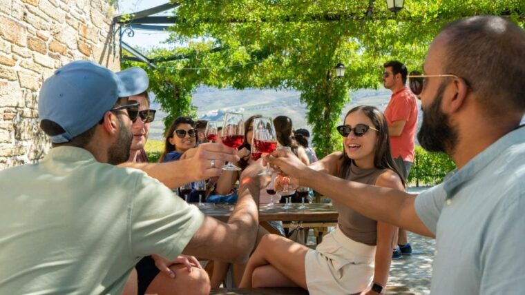 douro-valley-w-lunch-in-a-family-owned-winery-boat-tour