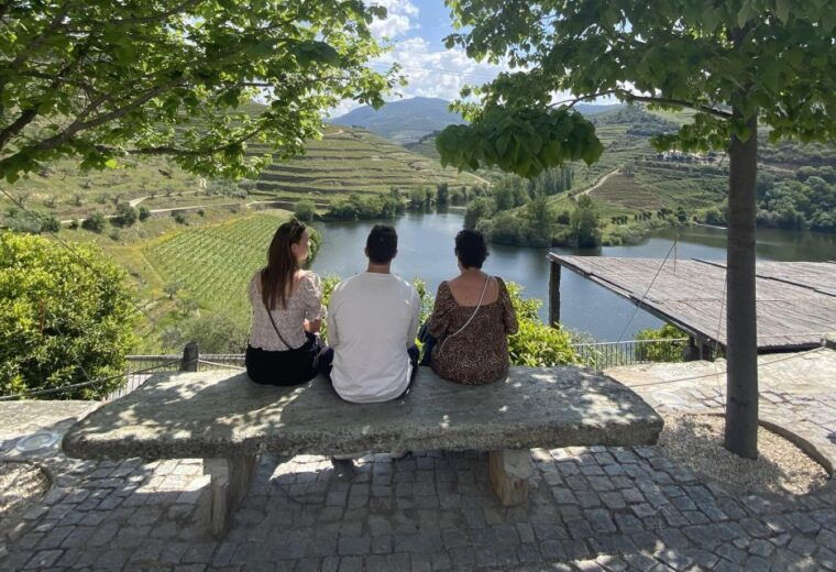 douro-valley-w-lunch-in-a-family-owned-winery-boat-tour