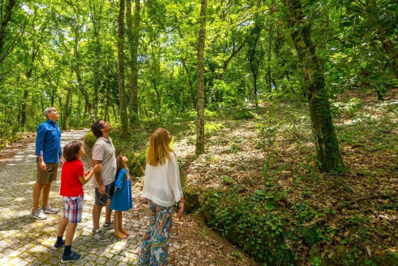 Douro Valley: Walk Through The Vineyards And Woods - The Sum Up