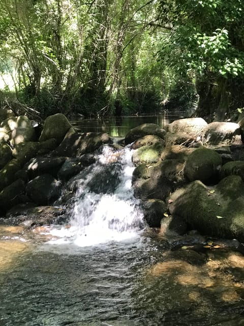 douro-valley-water-walking-adventure-with-local-lunch