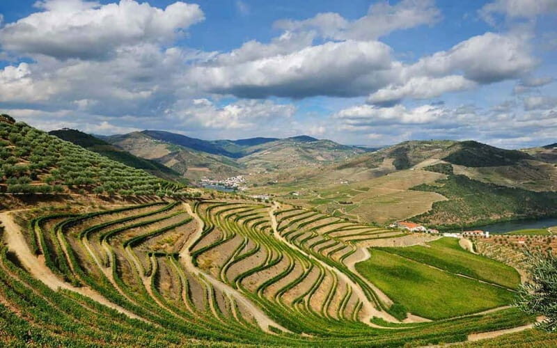 Douro Valley: Wine & Chocolate Tour in the Wine Region - The Value of the Experience