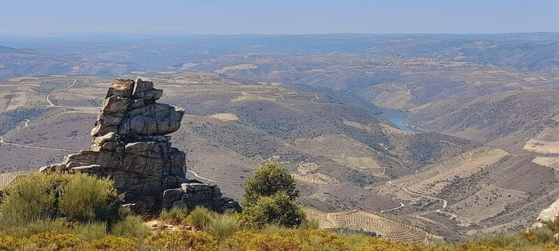 Douro Valley: Wine & Chocolate Tour in the Wine Region - Final Thoughts