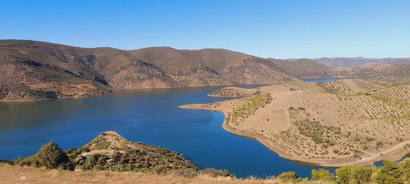 Douro Valley: Wine & Chocolate Tour in the Wine Region - FAQ