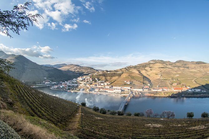 douro-valley-wine-experience-with-a-sommelier
