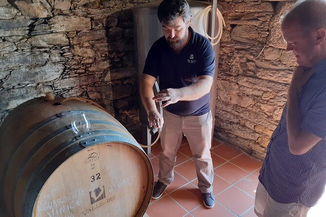 douro-valley-wine-experience-with-a-sommelier