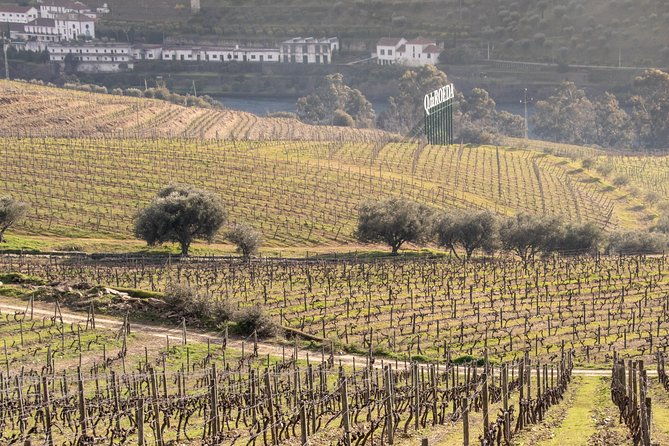 douro-valley-wine-experience-with-a-sommelier