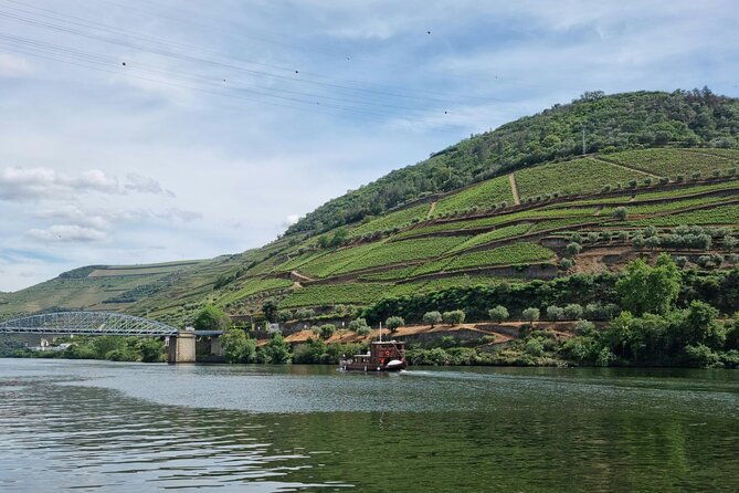 douro-valley-wine-premium-tour-winerys-lunch-boat-from-porto