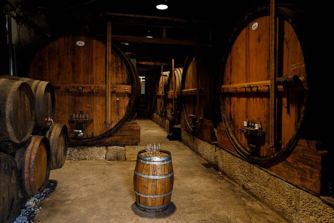 douro-valley-wine-premium-tour-winerys-lunch-boat-from-porto