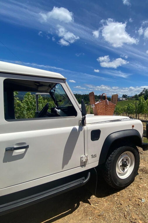 douro-valley-wine-safari-with-wine-tastings-and-lunch