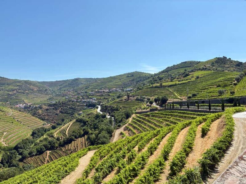 Douro Valley Wine Tour: Boat Ride, 3 Tastings & Delicious Food - Small Group - FAQ