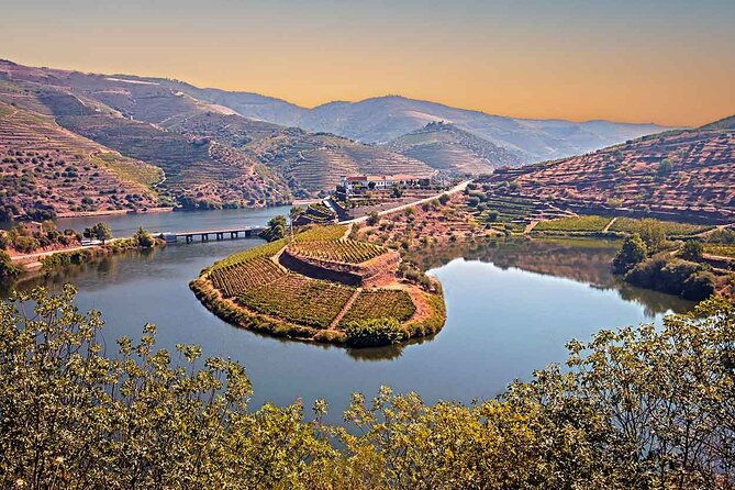 douro-valley-wine-tour-small-group-scenic-landscapes-boat-cruise