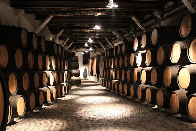 douro-valley-wine-tour-small-group-scenic-landscapes-boat-cruise