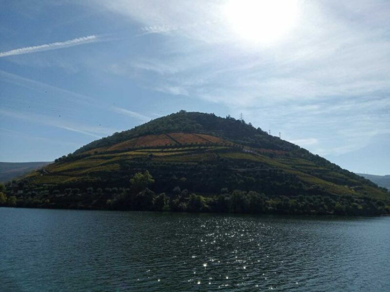 douro-valley-winery-day-trip-with-river-cruise