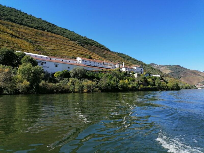 douro-valley-winery-day-trip-with-river-cruise
