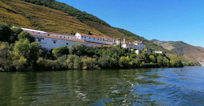 douro-valley-winery-day-trip-with-river-cruise