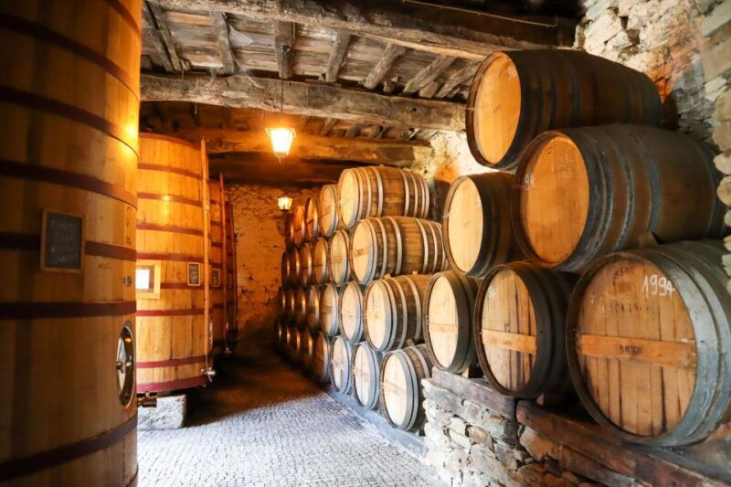 douro-valley-winery-day-trip-with-river-cruise