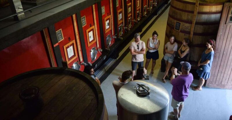 douro-valley-winery-tour-at-quinta-do-tedo-and-tastings