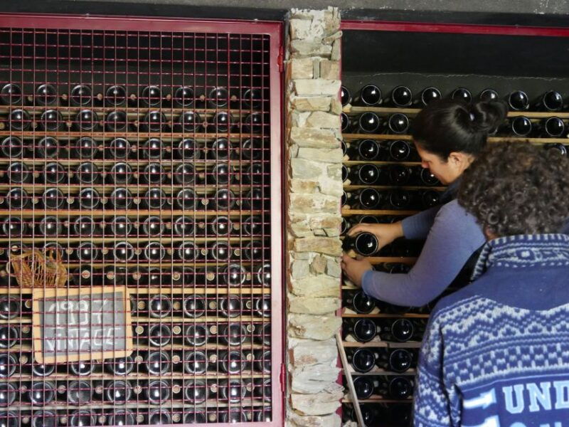douro-valley-winery-tour-at-quinta-do-tedo-and-tastings