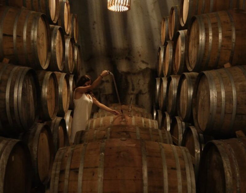douro-valley-winery-tour-at-quinta-do-tedo-and-tastings