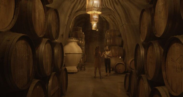 douro-valley-winery-tour-at-quinta-do-tedo-and-tastings