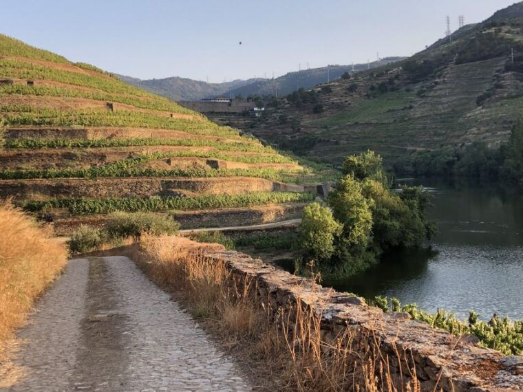 douro-valley-winery-tour-at-quinta-do-tedo-and-tastings