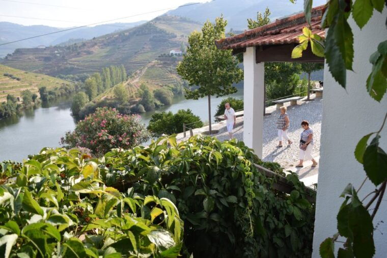 douro-valley-winery-tour-at-quinta-do-tedo-and-tastings
