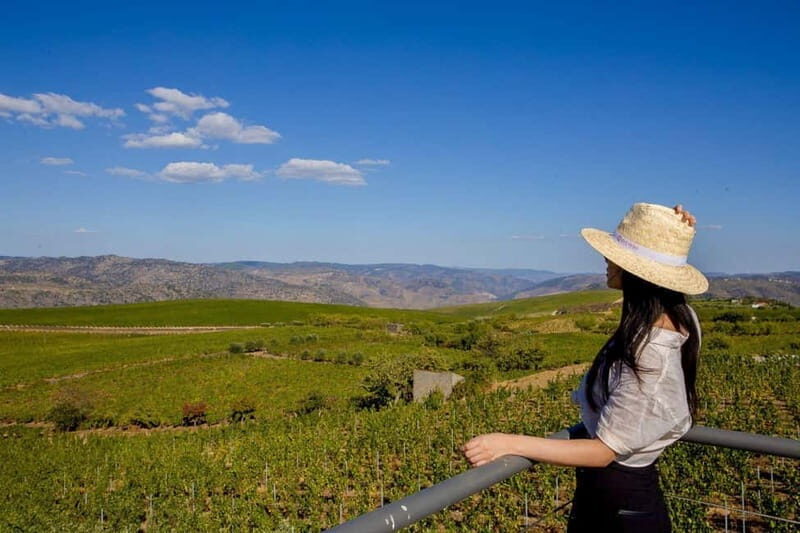 Douro Valley: Winery Visit & Legacy Port Wine Tasting - Who Would Love This Experience?  
