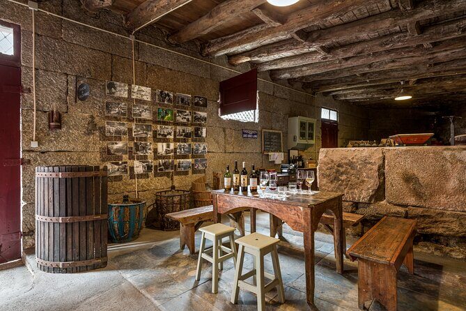 Douro & Vinho Verde: Family Wineries Private Tour in Portugal - An In-Depth Look at the Itinerary