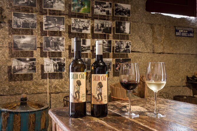 Douro & Vinho Verde: Family Wineries Private Tour in Portugal - Who Should Book This Tour?
