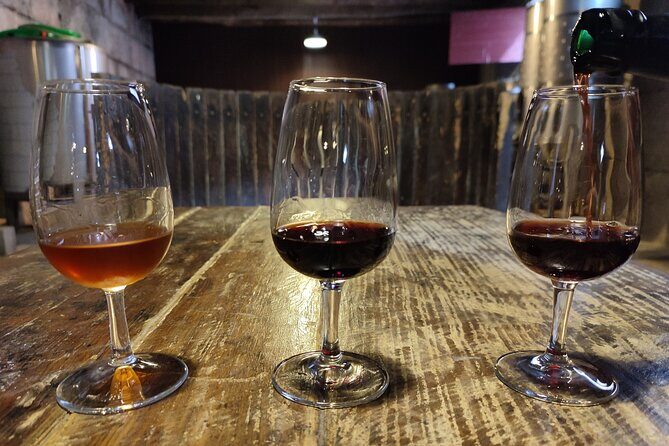 Douro & Vinho Verde: Family Wineries Private Tour in Portugal - The Bottom Line