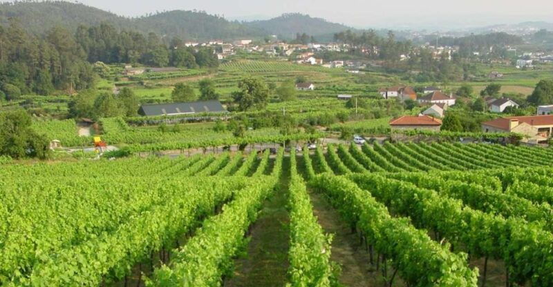 douro-vinho-verde-private-tour