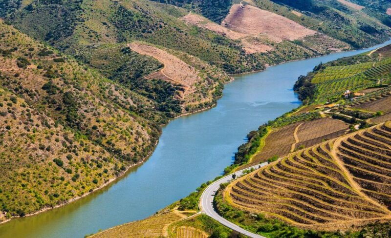 douro-wine-tasting-and-river-cruise-experience